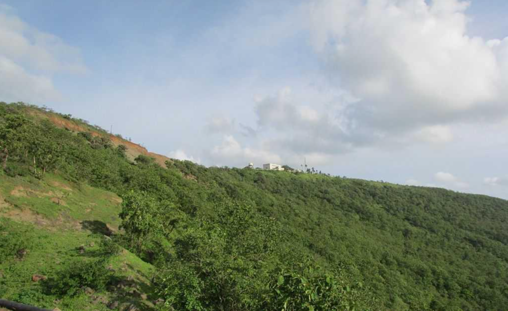 Janapav Kuti
